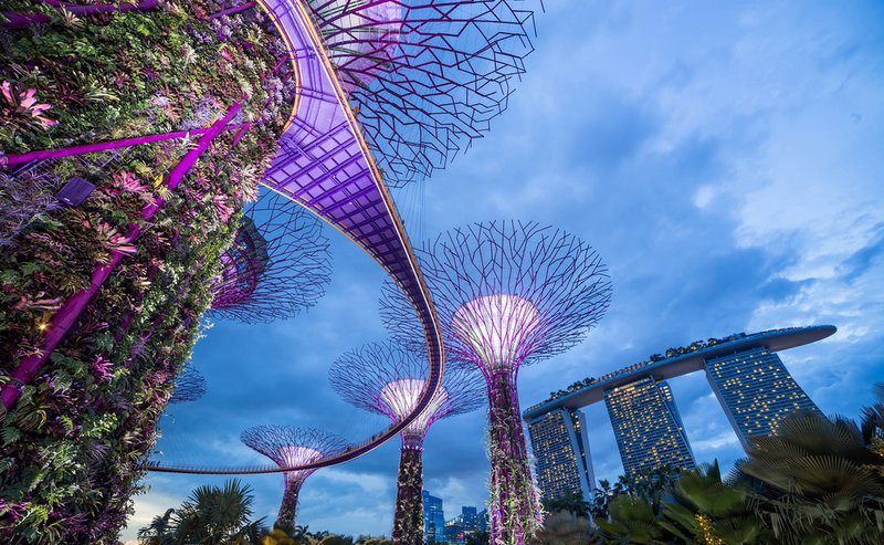 Marina Bay Sands and the "supertrees" of Singapore's must-see Gardens by the Bay.
